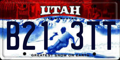 UT license plate B213TT