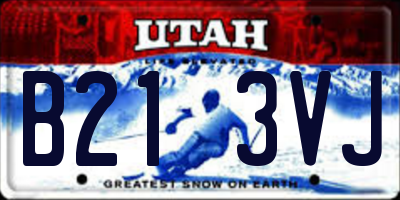 UT license plate B213VJ