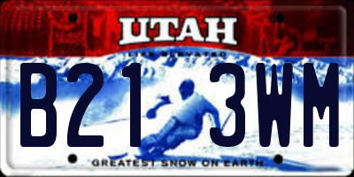 UT license plate B213WM
