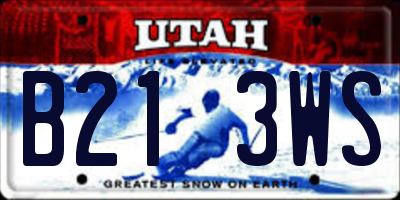 UT license plate B213WS