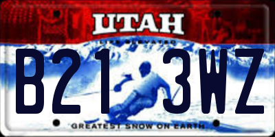 UT license plate B213WZ