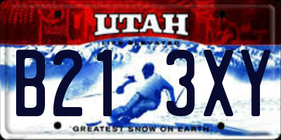 UT license plate B213XY