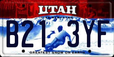 UT license plate B213YF