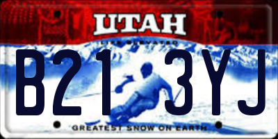 UT license plate B213YJ
