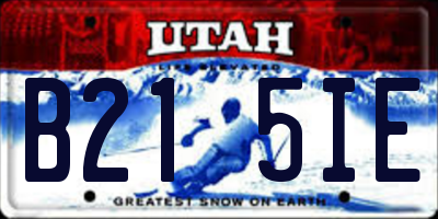 UT license plate B215IE