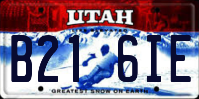 UT license plate B216IE