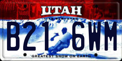UT license plate B216WM