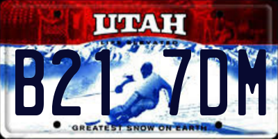 UT license plate B217DM
