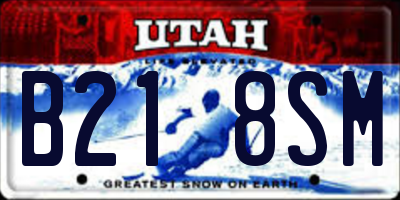 UT license plate B218SM