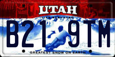 UT license plate B219TM