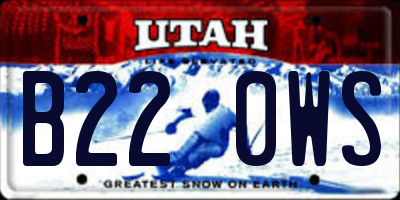 UT license plate B220WS