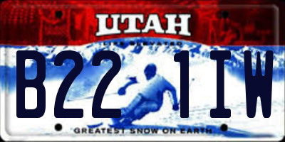 UT license plate B221IW