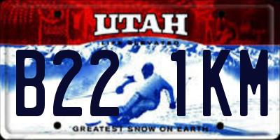 UT license plate B221KM