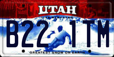 UT license plate B221TM
