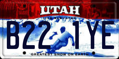 UT license plate B221YE