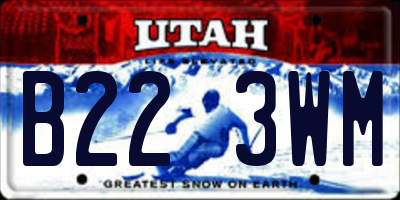 UT license plate B223WM