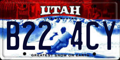 UT license plate B224CY