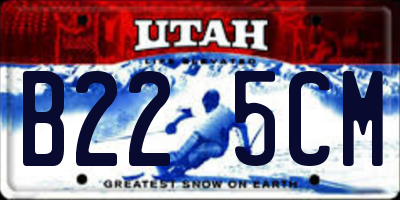 UT license plate B225CM