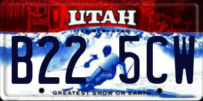 UT license plate B225CW