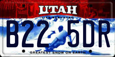 UT license plate B225DR