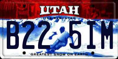 UT license plate B225IM