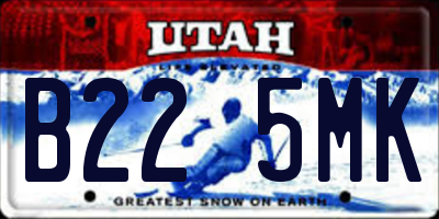 UT license plate B225MK