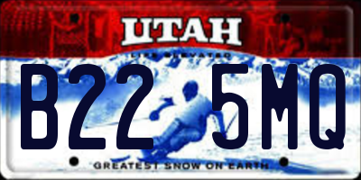 UT license plate B225MQ