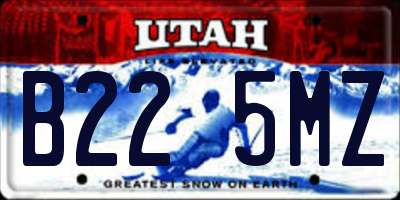 UT license plate B225MZ