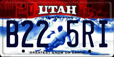 UT license plate B225RI