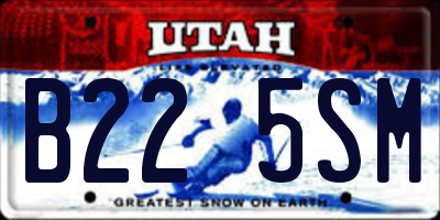 UT license plate B225SM