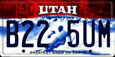 UT license plate B225UM