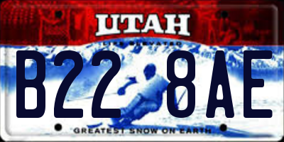 UT license plate B228AE
