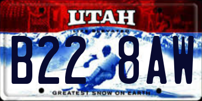UT license plate B228AW