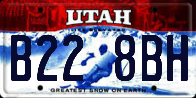 UT license plate B228BH