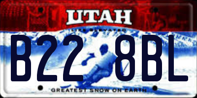 UT license plate B228BL
