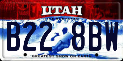 UT license plate B228BW