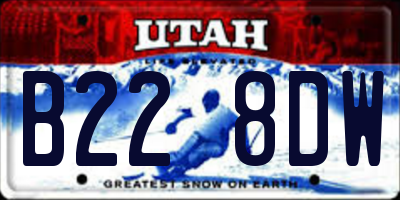 UT license plate B228DW