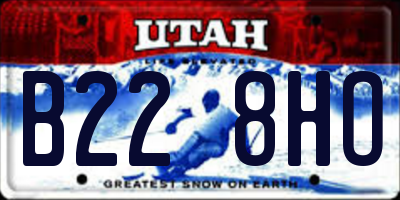 UT license plate B228HO