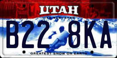 UT license plate B228KA