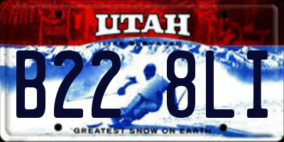 UT license plate B228LI