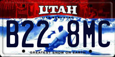 UT license plate B228MC