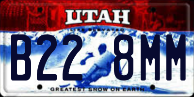 UT license plate B228MM