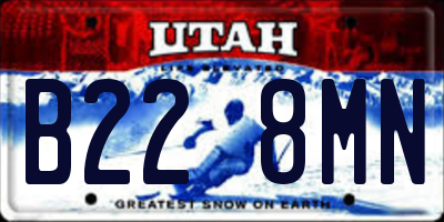 UT license plate B228MN