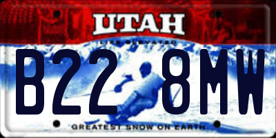 UT license plate B228MW
