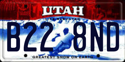 UT license plate B228ND