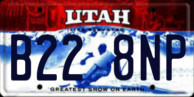 UT license plate B228NP