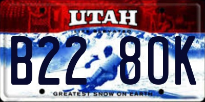 UT license plate B228OK