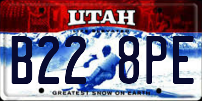 UT license plate B228PE