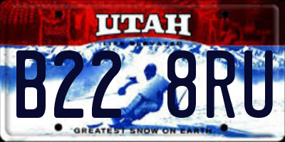 UT license plate B228RU