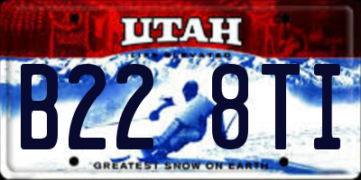 UT license plate B228TI